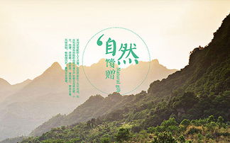 企業官網 南隼互動丨clh 深圳網站設計及建設公司 為企業提供數字化品牌和產品營銷解決方案