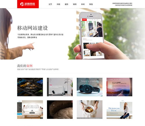 深圳網站建設網站制做 價格 4800元 套