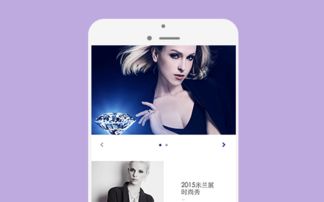 深圳網(wǎng)站建設(shè)案例精選：從設(shè)計(jì)到構(gòu)建的完美呈現(xiàn)